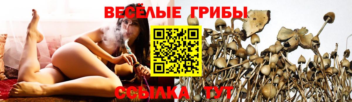 Заринск  Псилоцибиновые грибы мухоморы  Галлюциногенные грибы MAGIC MUSHROOMS  Вход с VPN 